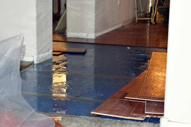 Professional Flood Cleanup technician working in Shrewsbury, MO